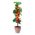 fruit tree