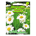 marguerite seed