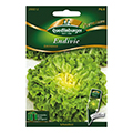 endive seed
