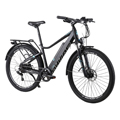 City-E-Bike