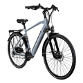 Trekking-E-Bike