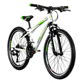 Mountainbike