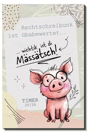 TRÖTSCH - Schülerkalender Flexi Mässätsch 25/26: Schulplaner Hausaufgabenheft Timer Terminkalender