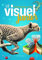 Le visuel junior: Dictionnaire français-anglais