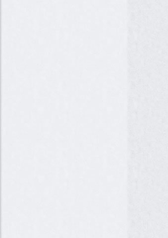papieto Hefthülle/Heftschoner - Starke Folie (A5 / 14,8 x 21,0 cm) Farbe FREI WÄHLBAR (Transparent)