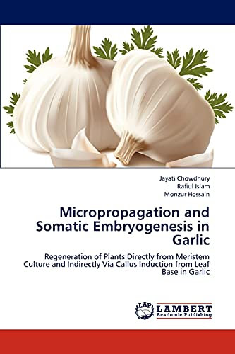Micropropagation and Somatic Embryogenesis in Garlic: Regeneration of Plants Directly from Meristem Culture and Indirectly Via Callus Induction from Leaf Base in Garlic