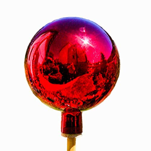 Okänd Thüringer rosenkula – 18 cm – röd
