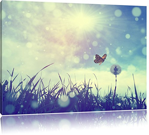 Pixxprint zarter Schmetterling fliegt zu Pusteblume, Größe: 120x80cm, Leinwandbild, fertig gespannt, Wandbild, Dekoration, Kunstdruck, kein Poster