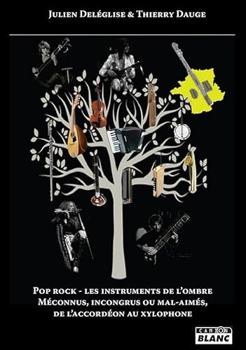 Pop rock - Les instruments de l'ombre Méconnus, incongrus ou mal-aimés, de l'accordéon au xylophone