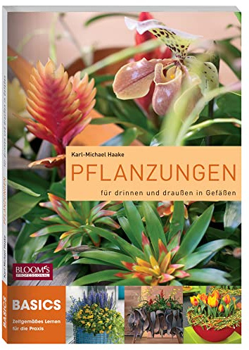 Pflanzungen: für drinnen und draußen in Gefäßen