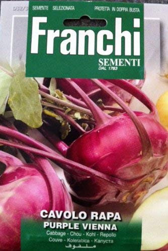 SEMENTI DI ORTAGGI DI QUALITA' PER USO HOBBYSTICO PROTETTE IN DOPPIA BUSTA (CAVOLO RAPA WENER BLAUWE)