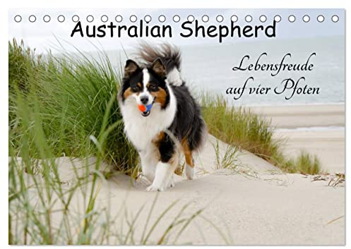 Australian Shepherd - Lebensfreude auf vier Pfoten (Tischkalender 2024 DIN A5 quer), CALVENDO Monatskalender: Die Abenteuer eines powervollen Australian Shepherd (CALVENDO Tiere)