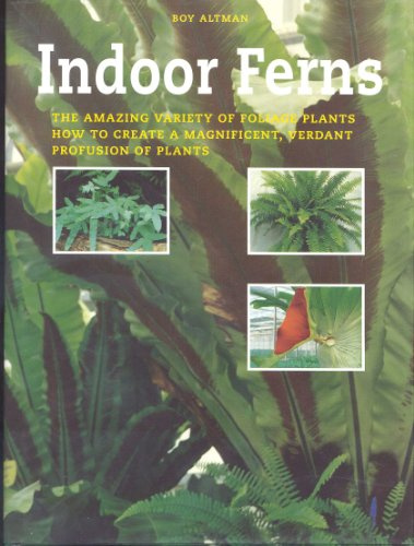 Indoor Ferns: Caring for Ferns