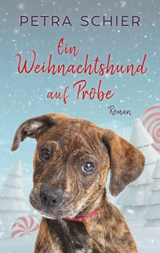Ein Weihnachtshund auf Probe: Zwei Weihnachtsgeschichten für die ganze Familie | Sammelband | Band 1 + Bonusgeschichte (Santa Claus-Reihe, Band 1)