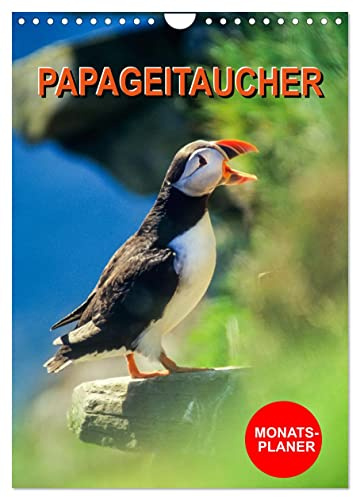 Papageitaucher Monatsplaner (Wandkalender 2026 DIN A4 hoch), CALVENDO Monatskalender: Planer mit wunderschönen Bildern der lustigen Papageientaucher (CALVENDO Tiere)