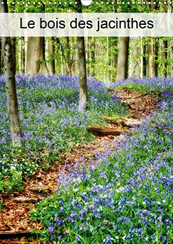Le bois des Jacinthes (Calendrier mural 2020 DIN A3 vertical): Hallerbos, la forêt féerique (Calendrier mensuel, 14 Pages )