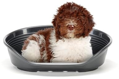 Ferplast Cuccia Cane in Plastica SIESTA DELUXE 8, Lettino per Cani, Cuccia per Cane da Interno , Cesta Cane con Antiscivolo, Fondo Forato e Poggiamento, 82 x 59,5 x h 25 cm, Nero