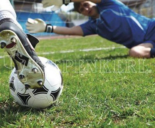 Kiepenkerl RSM 3.2 Profi Sportrasen | 10kg ohne Poa pratensis