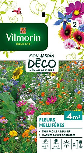 Vilmorin 5862842 Fleur mellifère Multicolore 9 x 0.5 x 16 cm