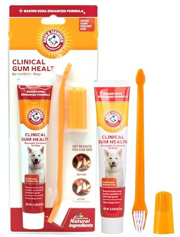 Arm & Hammer Clinical Gum Health Dental Kit for Dogs, Chicken 3 Count (Pack of 1)
