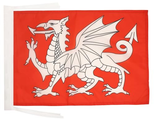 AZ FLAG Flagge Weisser Drache von England 45x30 cm Kordeln | Für innen und außen Mandschu-Dynastie dekorative Flagge doppelte Nähte und verstärkte Kanten mit Schnüre 100D Polyester
