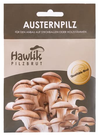 Hawlik Pilzbrut I das Original I Austernpilze als Dübel-Brut zum selber züchten - kinderleicht frische Pilze ernten - 20 Pilzdübel für die Zucht auf Holz und Stroh
