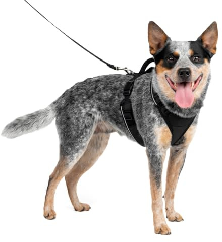 PetSafe EasySport Geschirr, Elastischer Halsausschnitt, Gepolsterter Griff, Für Hunde von 11,3 kg bis 22,5 kg, Größe M, Schwarz