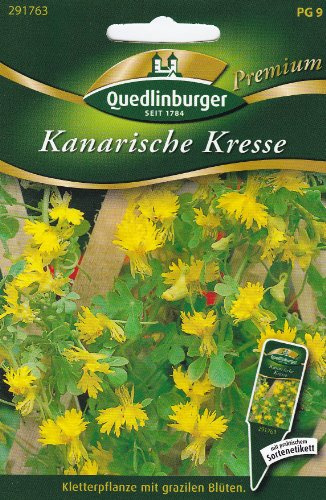 Quedlinburger