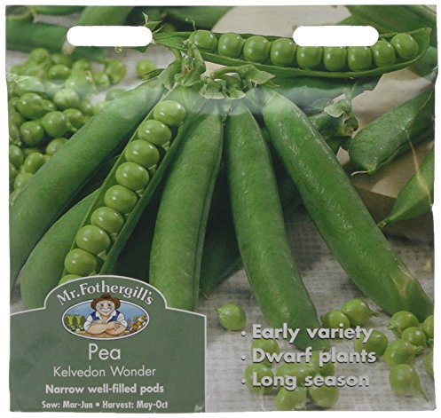 Mr Fothergill's 15130 Vegetable Seeds, Pea Kelvedon Wonder
