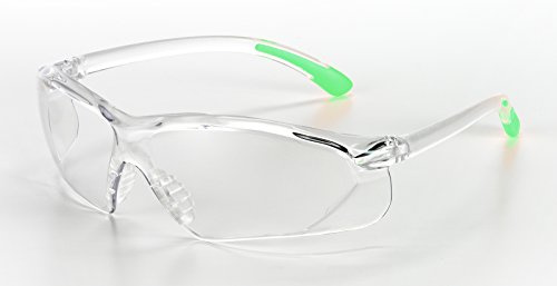 Univet 516.01.00.00 Schutzbrille Nr.516 mit klarem Glas in transparent/grün