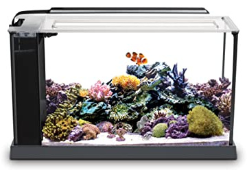 Fluval EVO Acuario Marino, Negro, 19 l
