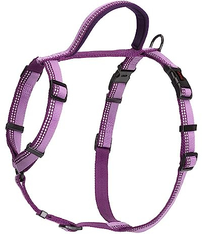 HALTI Walking Hundegeschirr – Mit weichem Neopren-gefüttertem Griff, 5 verstellbare Riemen und 3M-Reflektorgewebe. Geeignet für mittelgroße Hunde (Größe M, Lila)