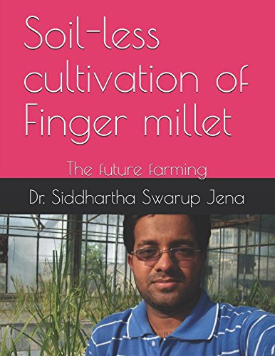 Soil-less cultivation of Finger millet: The future farming (Agriculture)