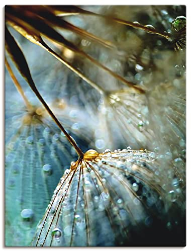 ARTLAND Wanddeko Leinwand Bilder Wandbild 60 x 80 cm Innere Ruhe Wellness Mystic Pflanzen Blumen Pusteblume Regen Tau Tropfen T9SY