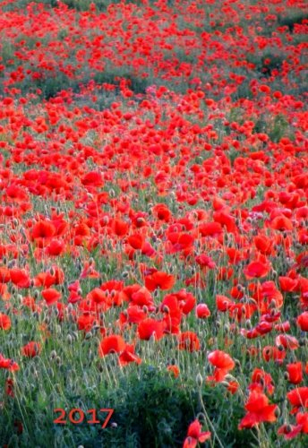 Mini Kalender 2017 - Mohnblumen: ca. A6 - 1 Woche pro Seite