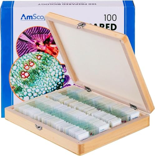 AmScope PS100E Grundlegendes Biologisches Vorbereitetes Diaset für Schüler und Homeschool, Set mit 100 vorbereiteten Glasdias, Set E, inklusive montierter Holzaufbewahrungsbox
