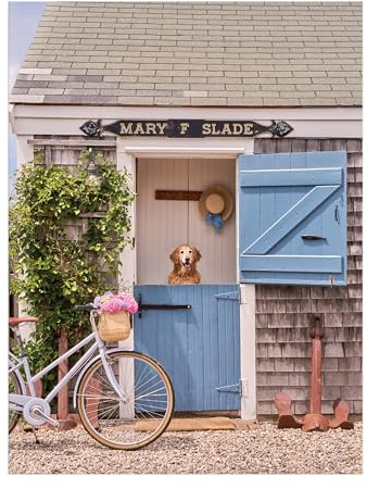 Galison Gray Malin Nantucket 1000 Piece Jigsaw Puzzle, Collector Book Box