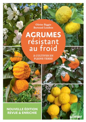 Agrumes résistant au froid