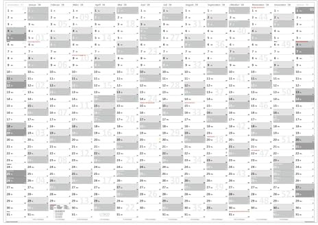 XL Wandkalender DIN A1 2028 (grau2) große Tageskästchen (Kalender werden gerollt versendet