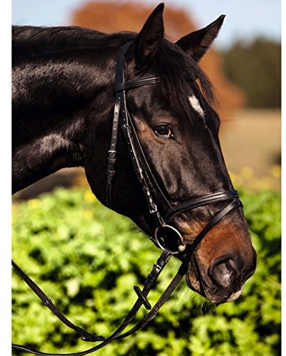 Kerbl 32172 Trensen-Zaum Standard Leder für Warmblut, schwarz