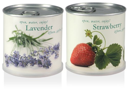 MacFlowers | Kleines Anzuchtset mit Erdbeere und Lavendel | Geschenk Set mit Zwei Sorten Saatgut in süßen Blumendosen