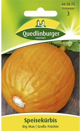 Speisekürbis, Big Max
