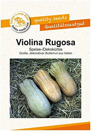 Violina Rugosa Kürbissamen von Bobby-Seeds, Portion