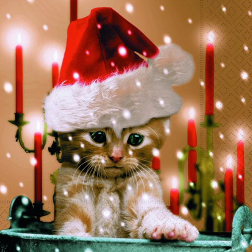 20 Servietten Weihnachten Sleepy Cat Verträumte Katze als Tischdeko für Winter und Weihnachtsdeko. Papierservietten niedlich weihnachtlich Tiere 33x33cm