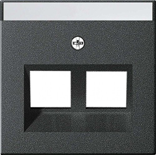 Gira 264028 Abdeckung Beschriftungsfeld Modular Jack 30° 2-Fach System 55, anthrazit