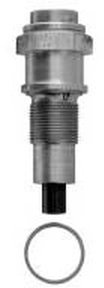 TRUCKTEC AUTOMOTIVE 02.12.081 Tensor de cadena de distribución