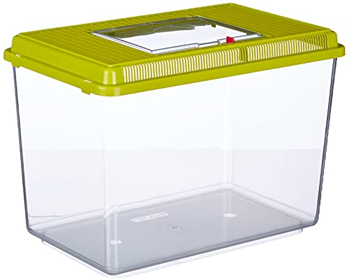 Ferplast Acquario in plastica per pesci GEO MAXI Vasca 21 L Contenitore per piccoli animali acquario terrario insetti tartarughe, Griglie di ventilazione, 41,3 x 26 x h 29,8 cm Verde