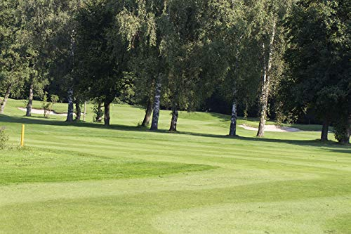 RSM-Rasensamen 4.4.3 Golfrasen Spielbahn 10kg