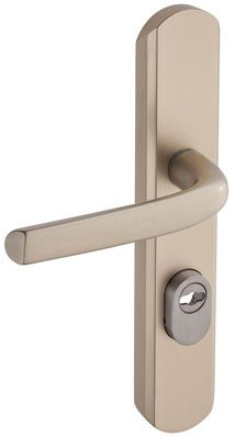 Vachette Poignée de porte blindée sur Plaque Secumax One, Version Clé I, Entraxe 195 mm, Pose Facile, en Aluminium, Protecteur de Cylindre Inox Ajustable de 5 mm, Anodisé Champagne, Garantie 10 Ans
