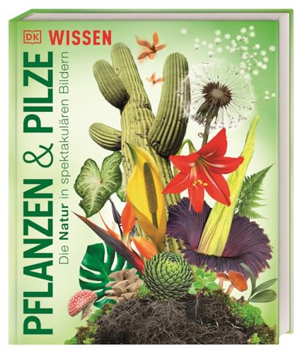 DK Wissen. Pflanzen und Pilze: Die Natur in spektakulären Bildern. Für Kinder ab 8 Jahren